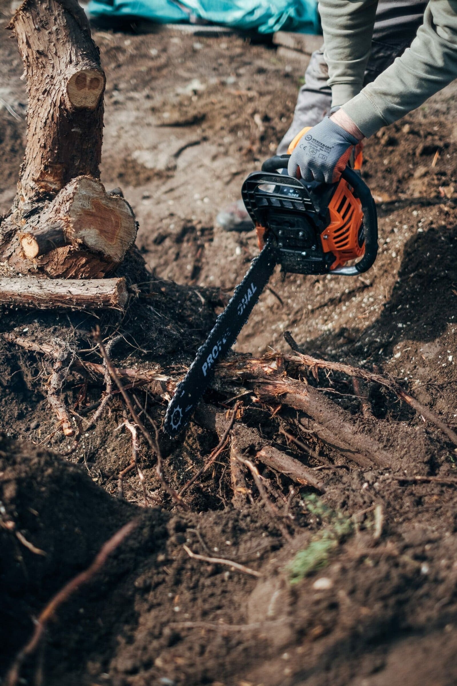 Chainsaw For Farm Use